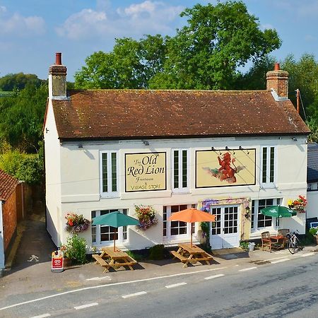 ホテル The Old Red Lion テーム エクステリア 写真
